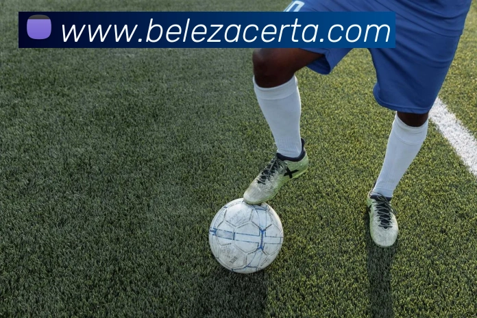 星空网官网首页入口平台生态图